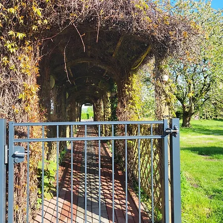 Apartment 12 Mohnblume - Hof Wiesengrund *