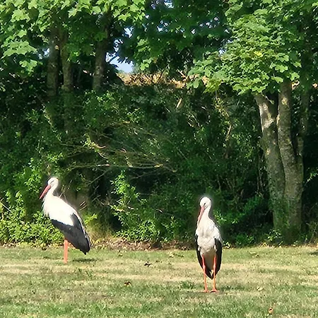 Appartement 12 Mohnblume - Hof Wiesengrund