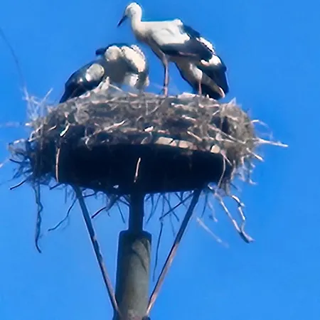 12 Mohnblume - Hof Wiesengrund Appartement