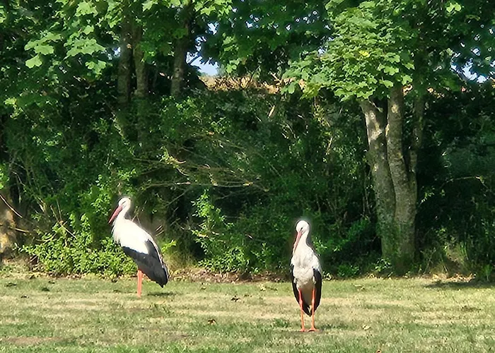 Lejlighed 12 Mohnblume - Hof Wiesengrund