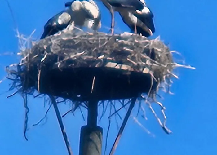 12 Mohnblume - Hof Wiesengrund Lejlighed